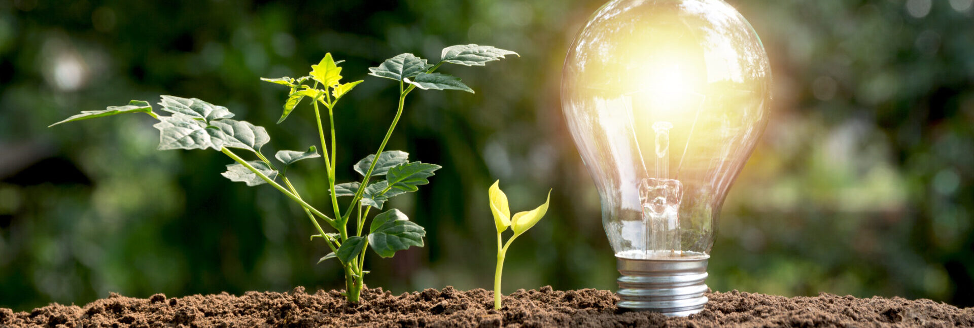 The Queen (on the application of Tarian Hafren Severn Shield CYF) and Marine Management Organisation and NNB Generation Company (HPC Limited) [2022] EWHC 683 (Admin)