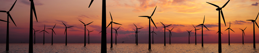 Planning, Environment and Property Newsletter – Summer 2026 Edition