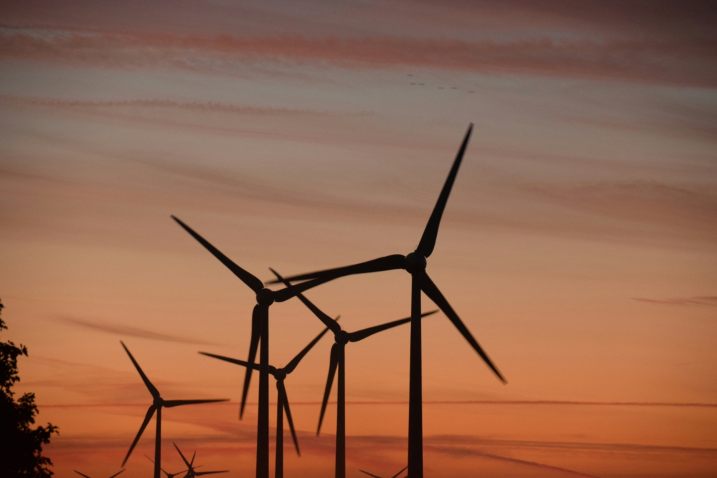 Planning, Environment and Property Newsletter – Summer 2026 Edition