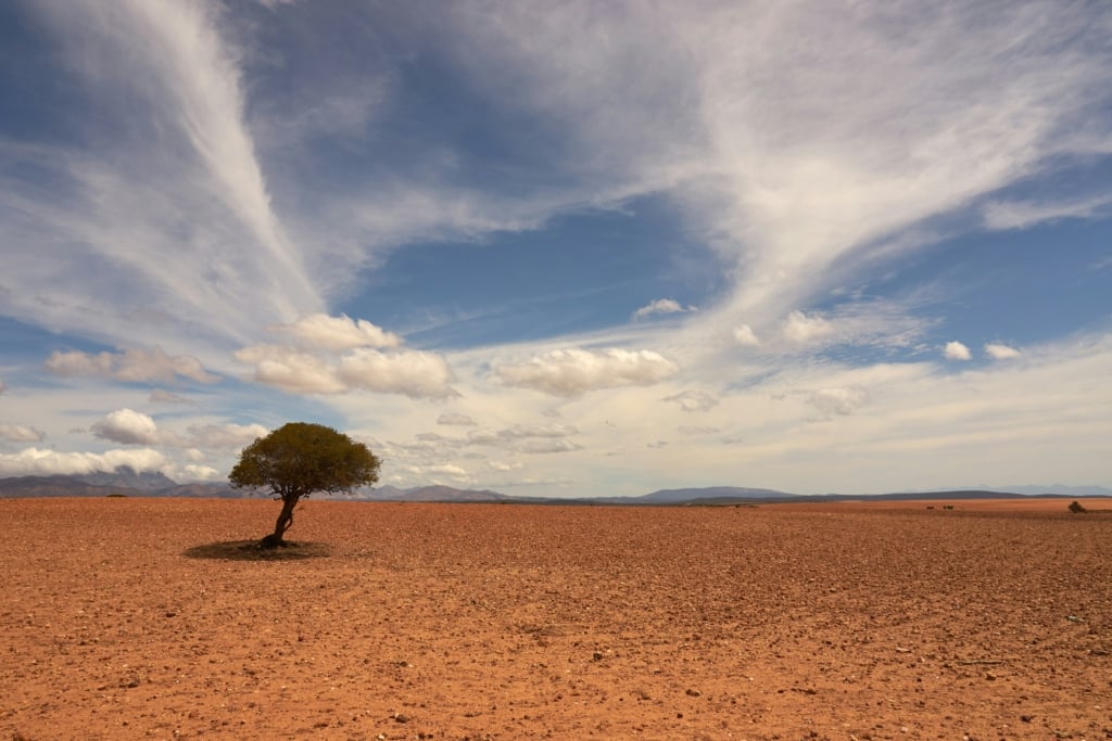 Construction Claims and Disputes in an Era of Rising Temperatures